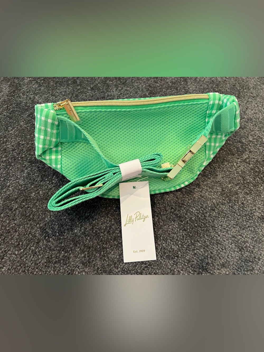 Lilly Pulitzer Fauna Green Gingham Performance Glenna Belt Bag NWT NIP - Picture 4 of 7